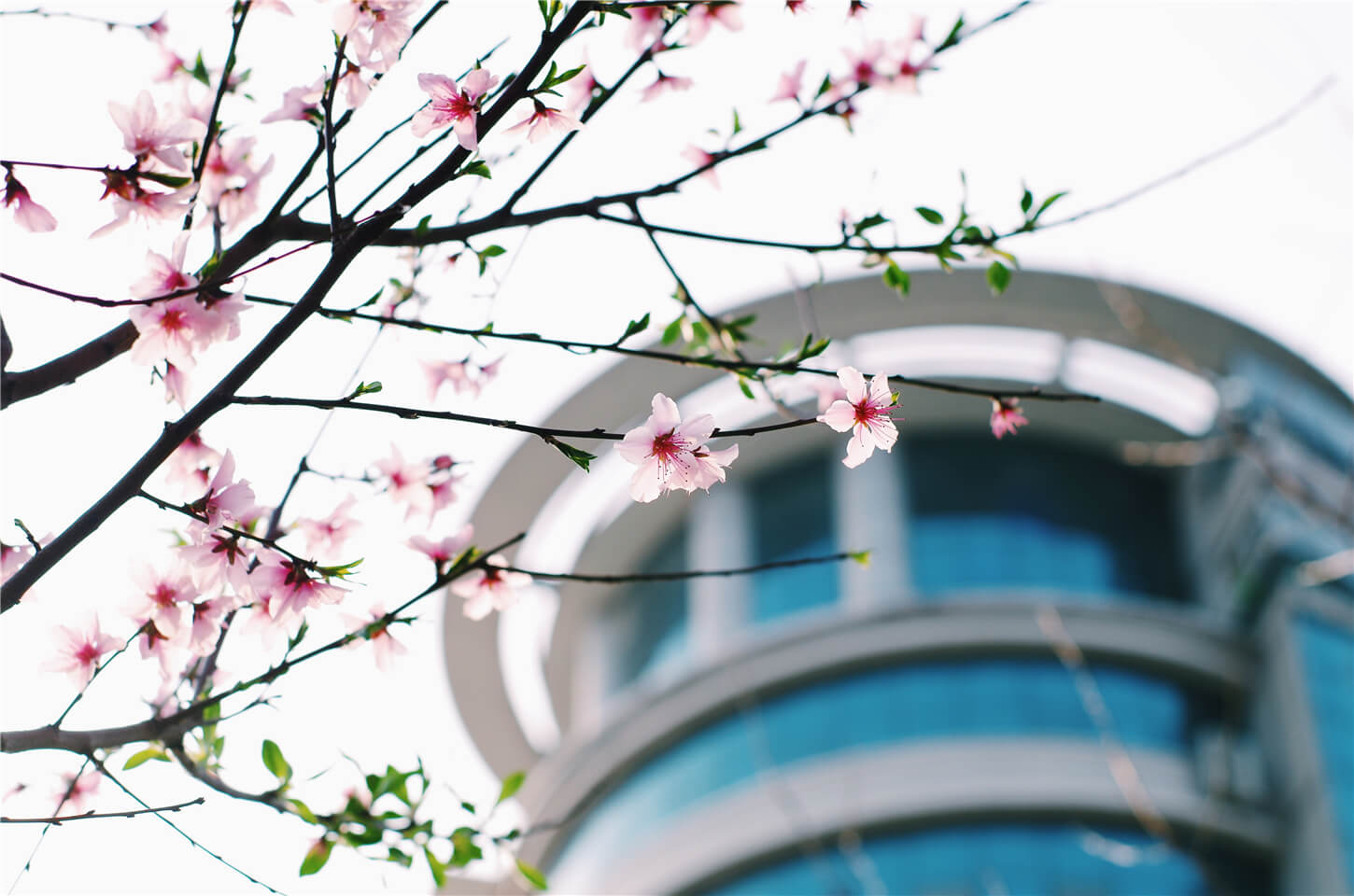 工商春景