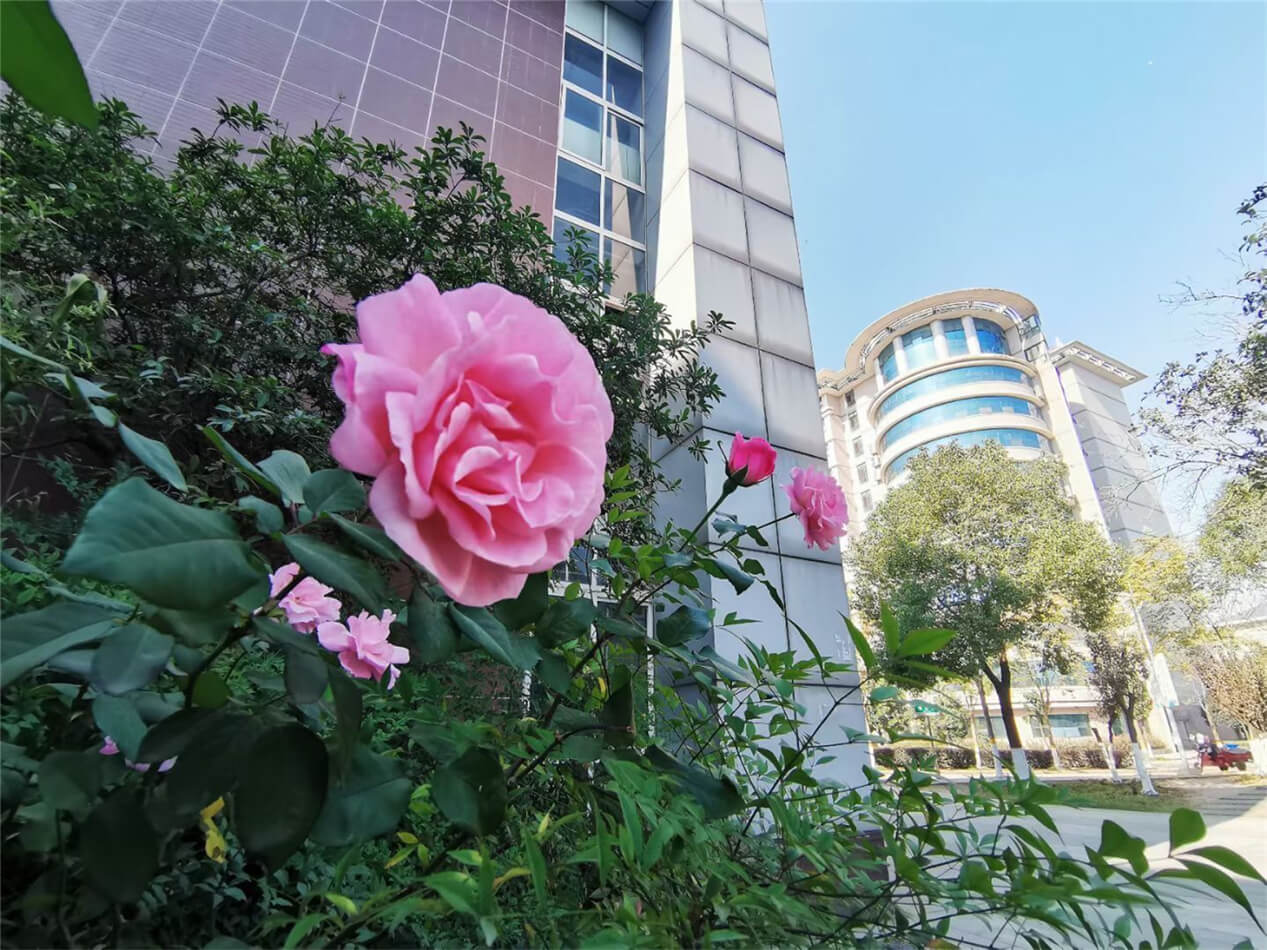 工商春景