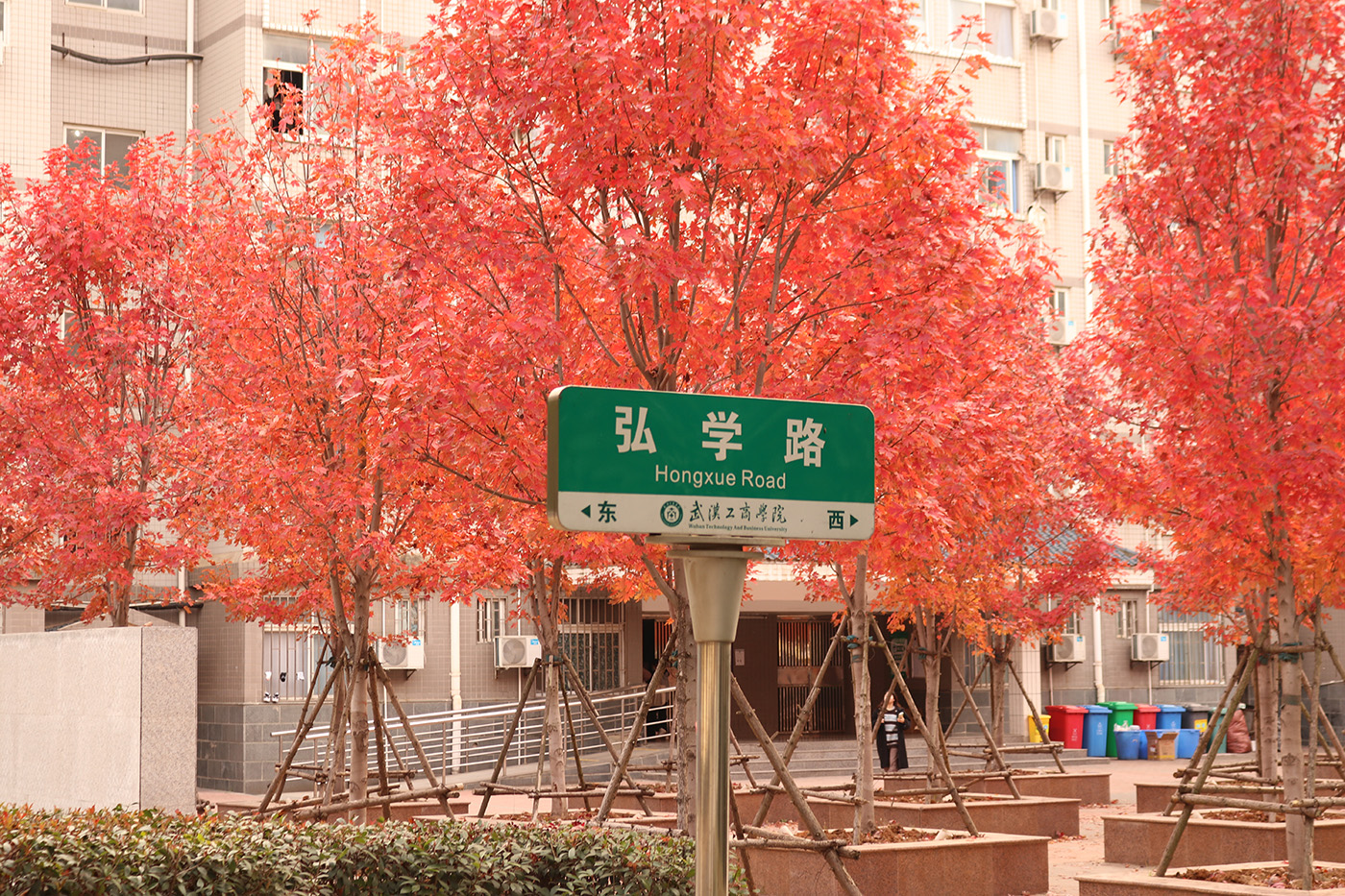 工商红枫