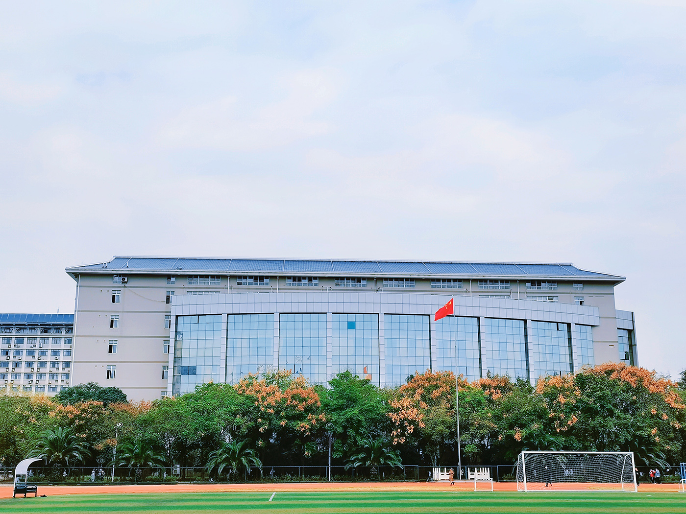 图书馆背面