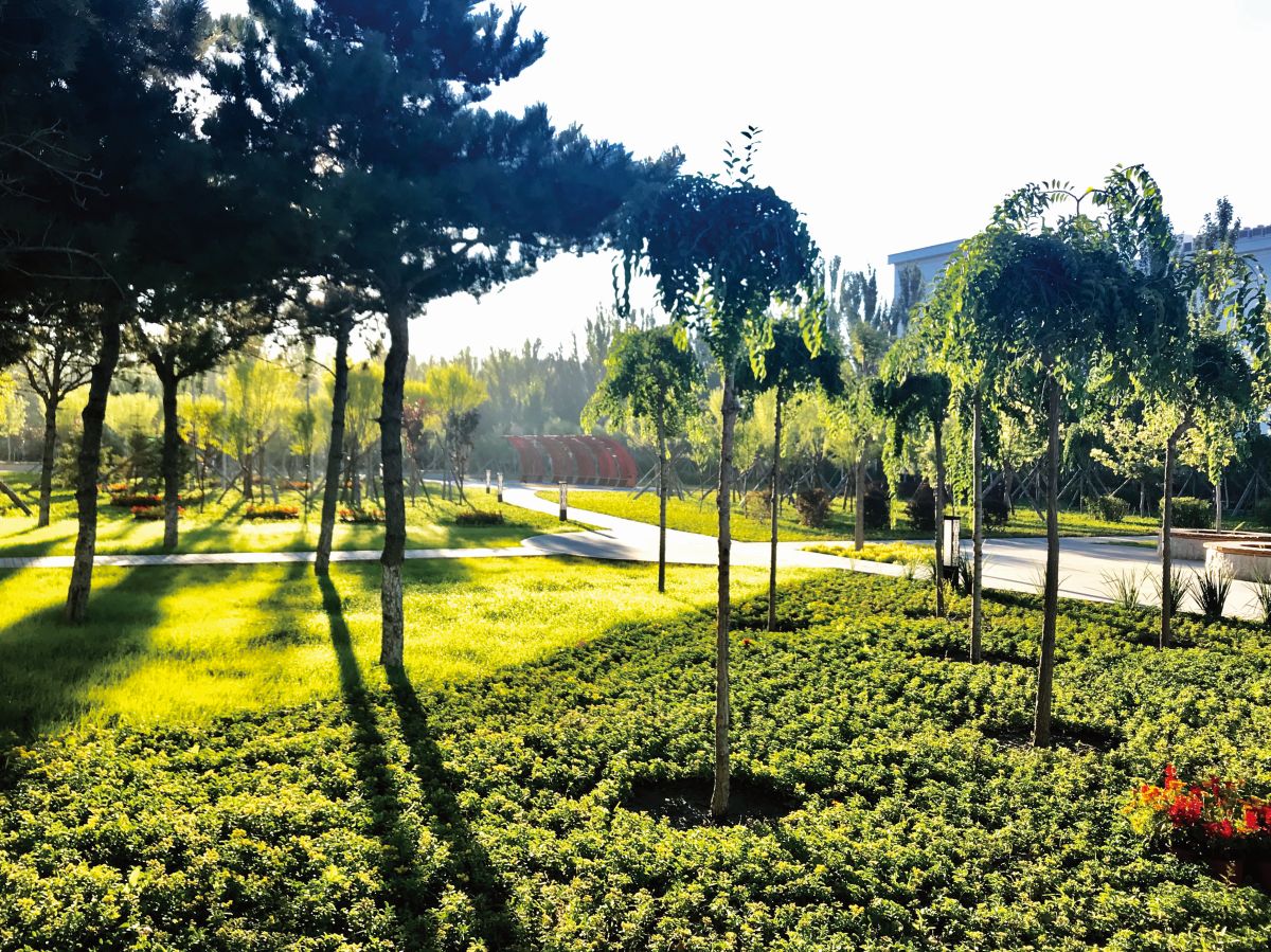 校园美景-刘鹏煜