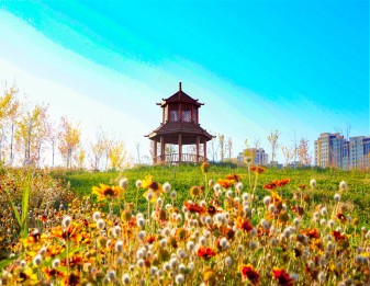 校园文化景观5