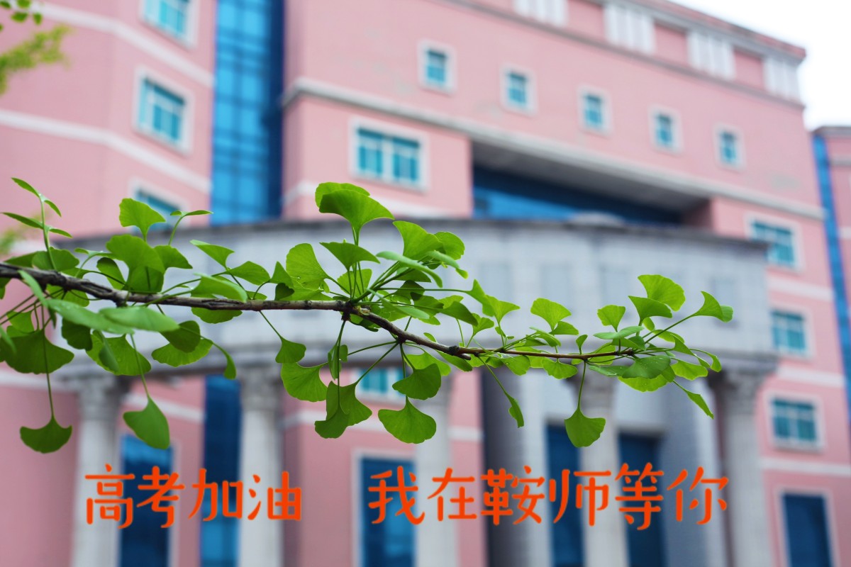 校园风光