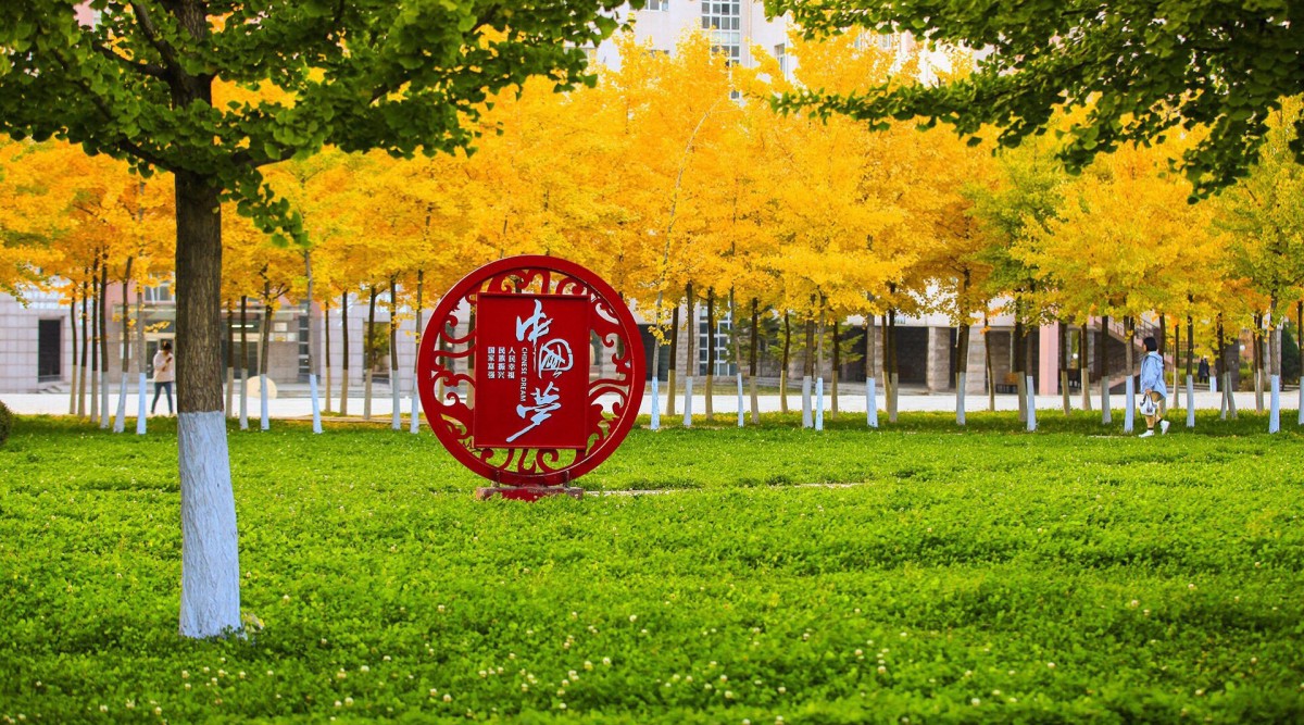 校园风光