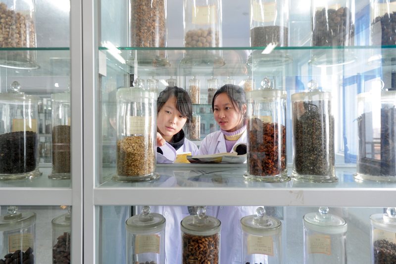 药学系