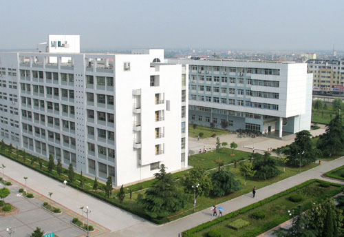 求职楼全景