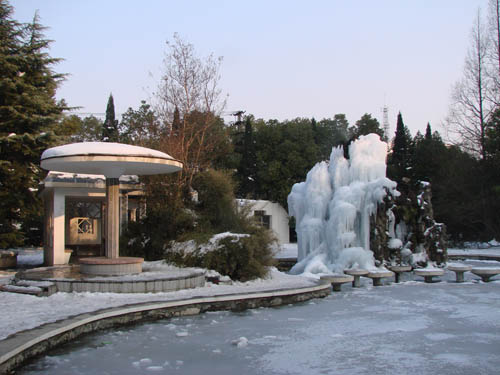 校园小景