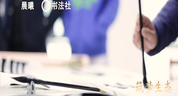 晨曦书法社