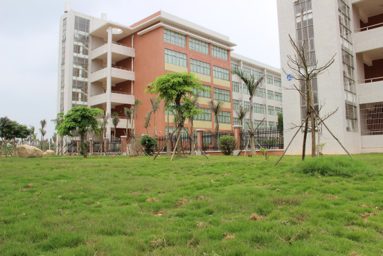 水东湾新城校区教学楼建筑群