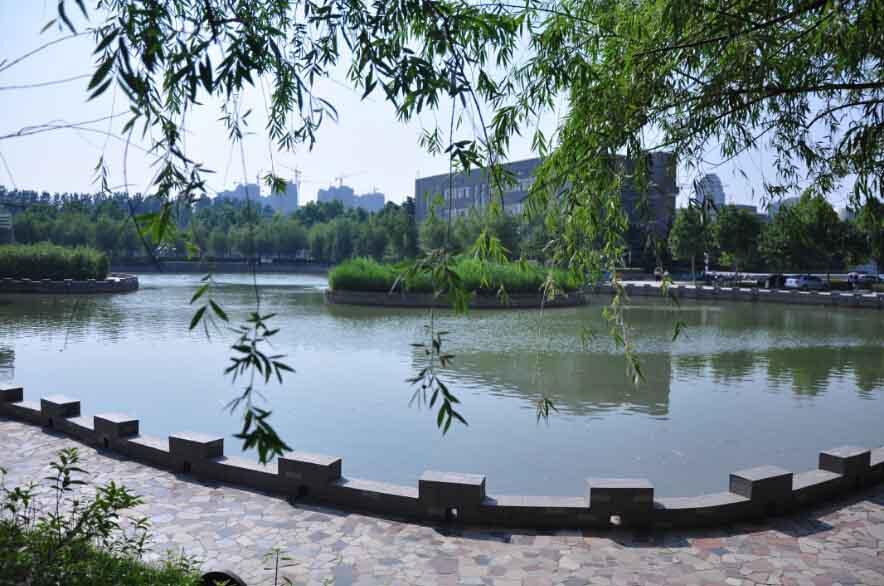 葱葱郁郁