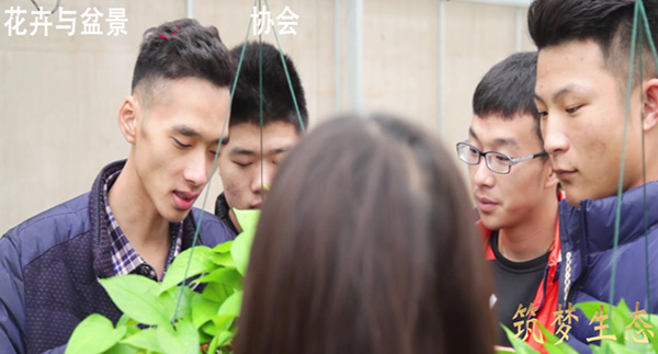 花卉与盆景协会