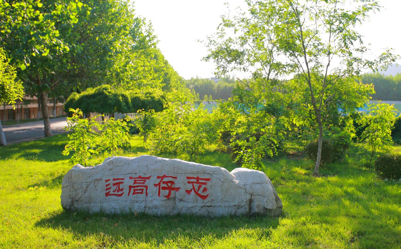 图片21