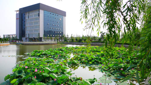 图书馆（北校区）