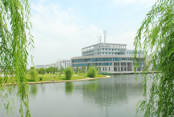 杨柳依依