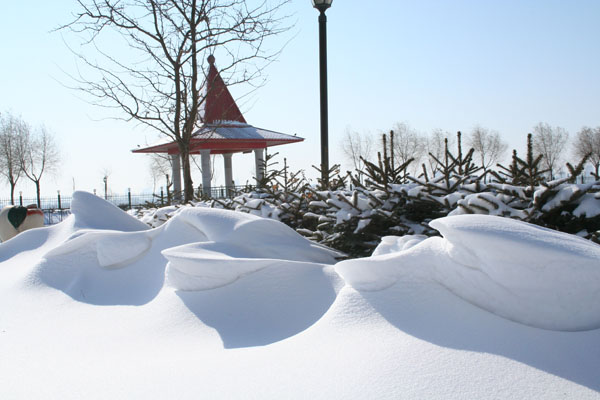 雪之韵