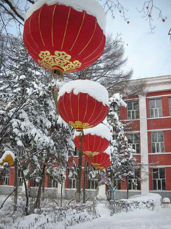雪打灯笼