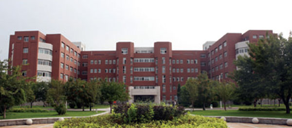 图片8