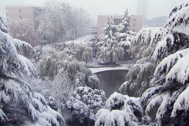 雪景