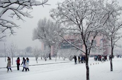 校园雪景
