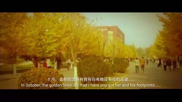图片31