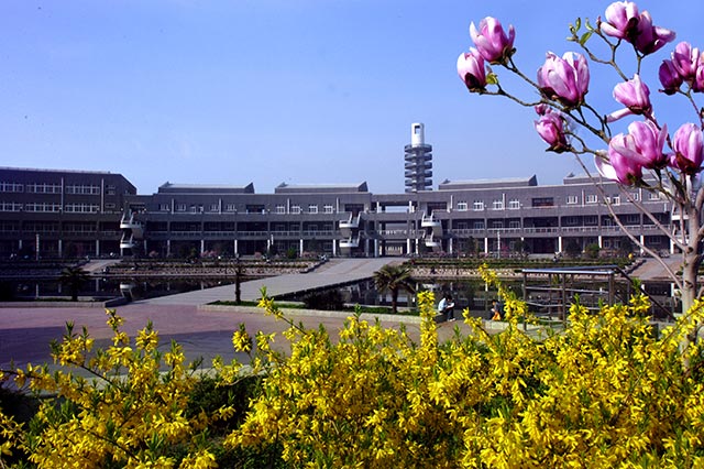 广场迎春