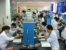 实验教学