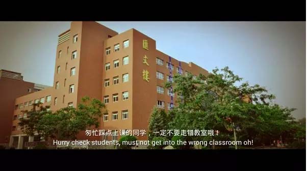 图片15