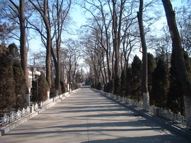 睿智路
