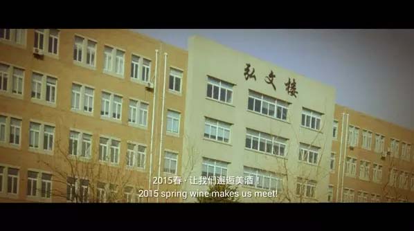 图片28