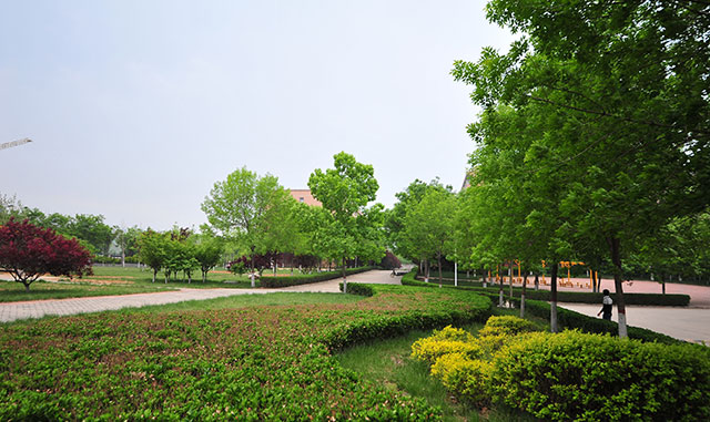 青青校园