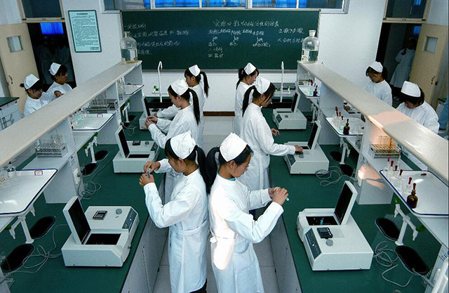 实验教学