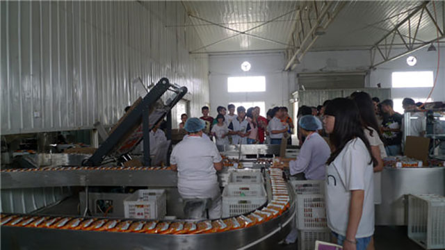 生命科学与工程学院学生在工厂见习
