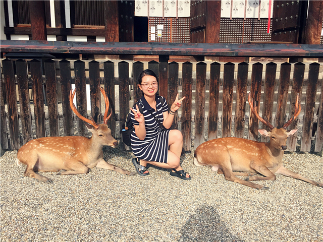 服装学院-纺织工程-吕叶馨
