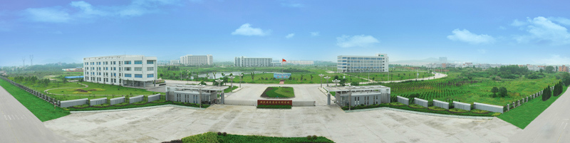 全景