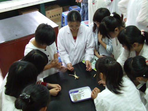 学生实验