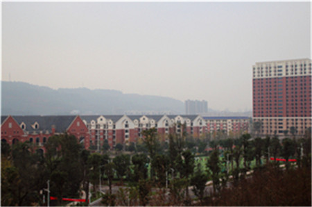 校园一角 (2)