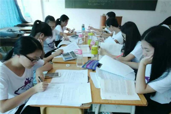 税务专业学生在开展实训活动