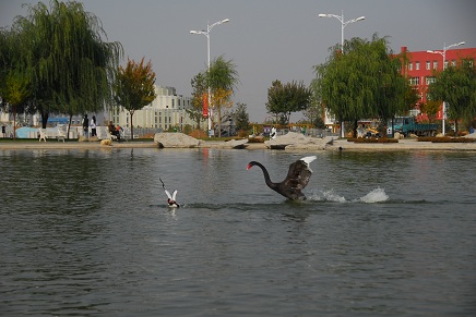 师盛湖