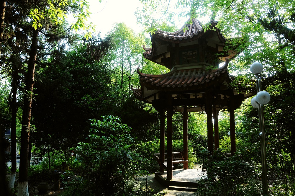 多彩校园