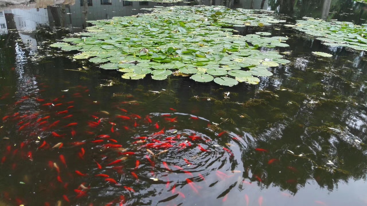 校园一角