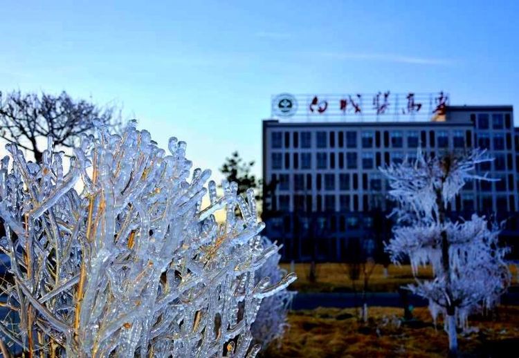 校园美景