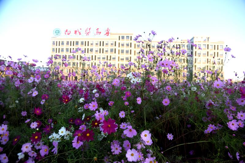 校园美景