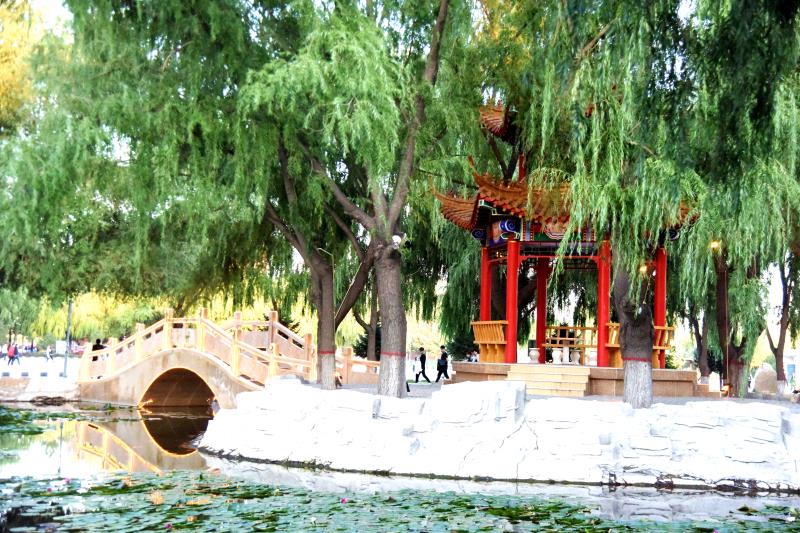 校园美景