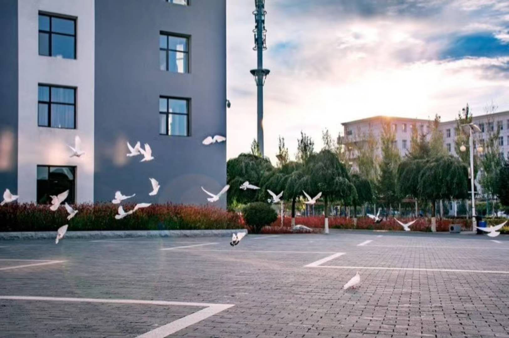 校园一角