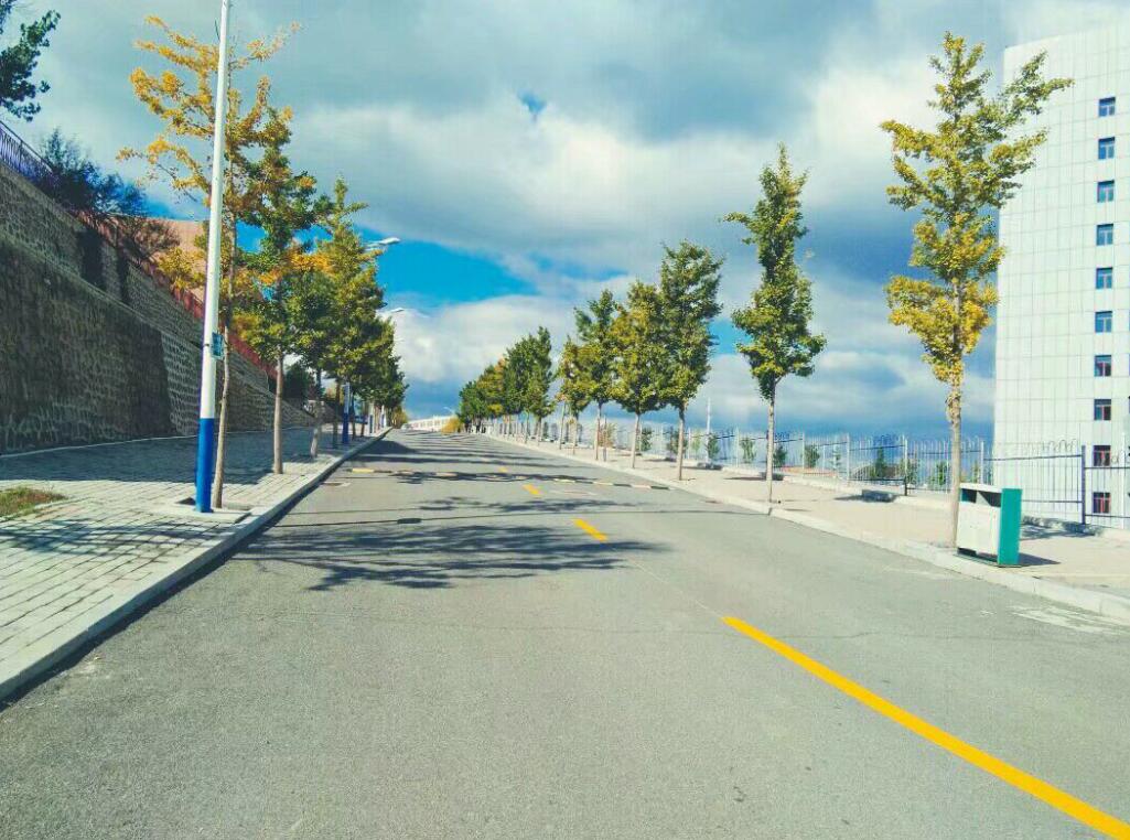 校园的路