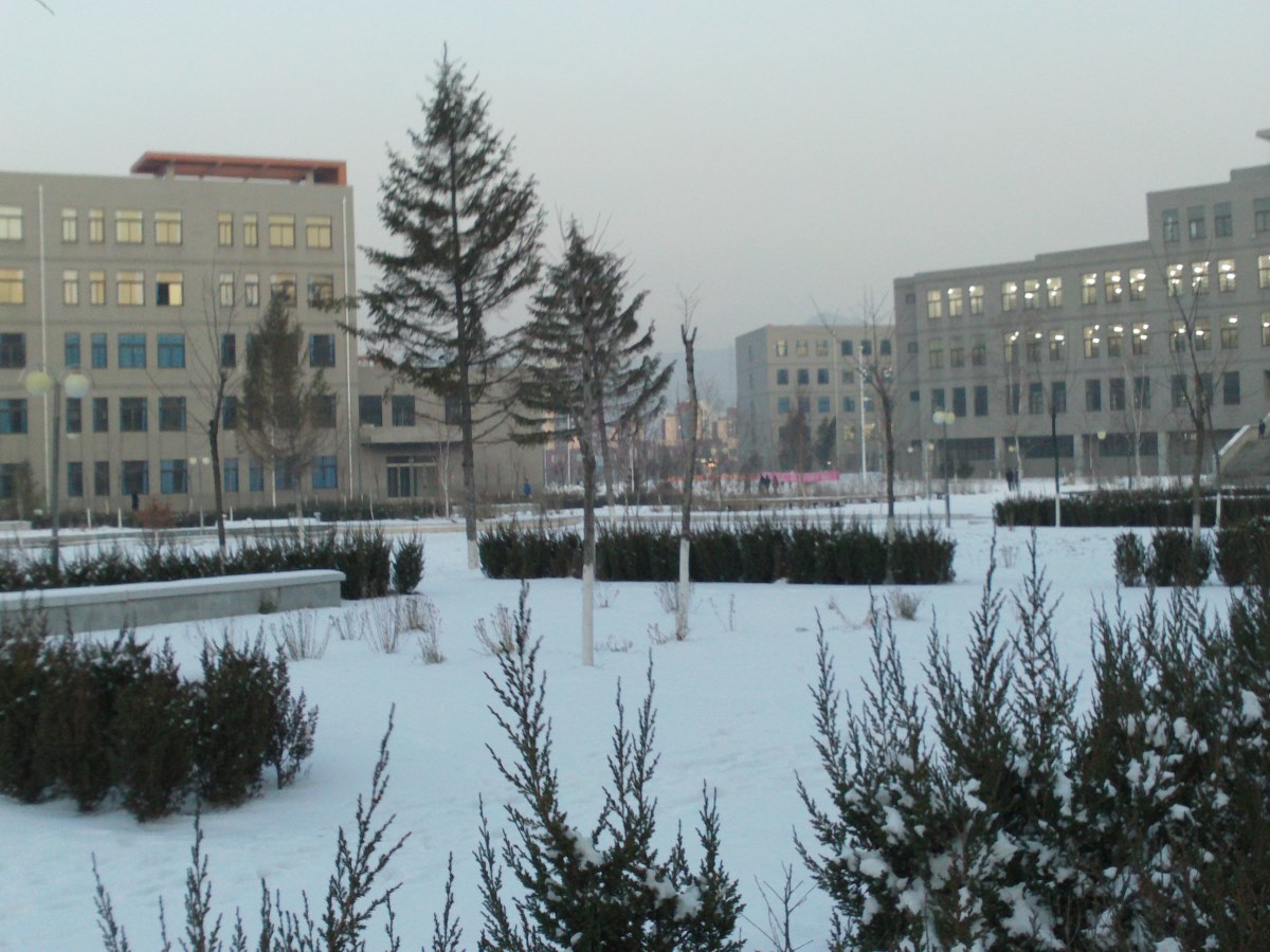 雪中辽科