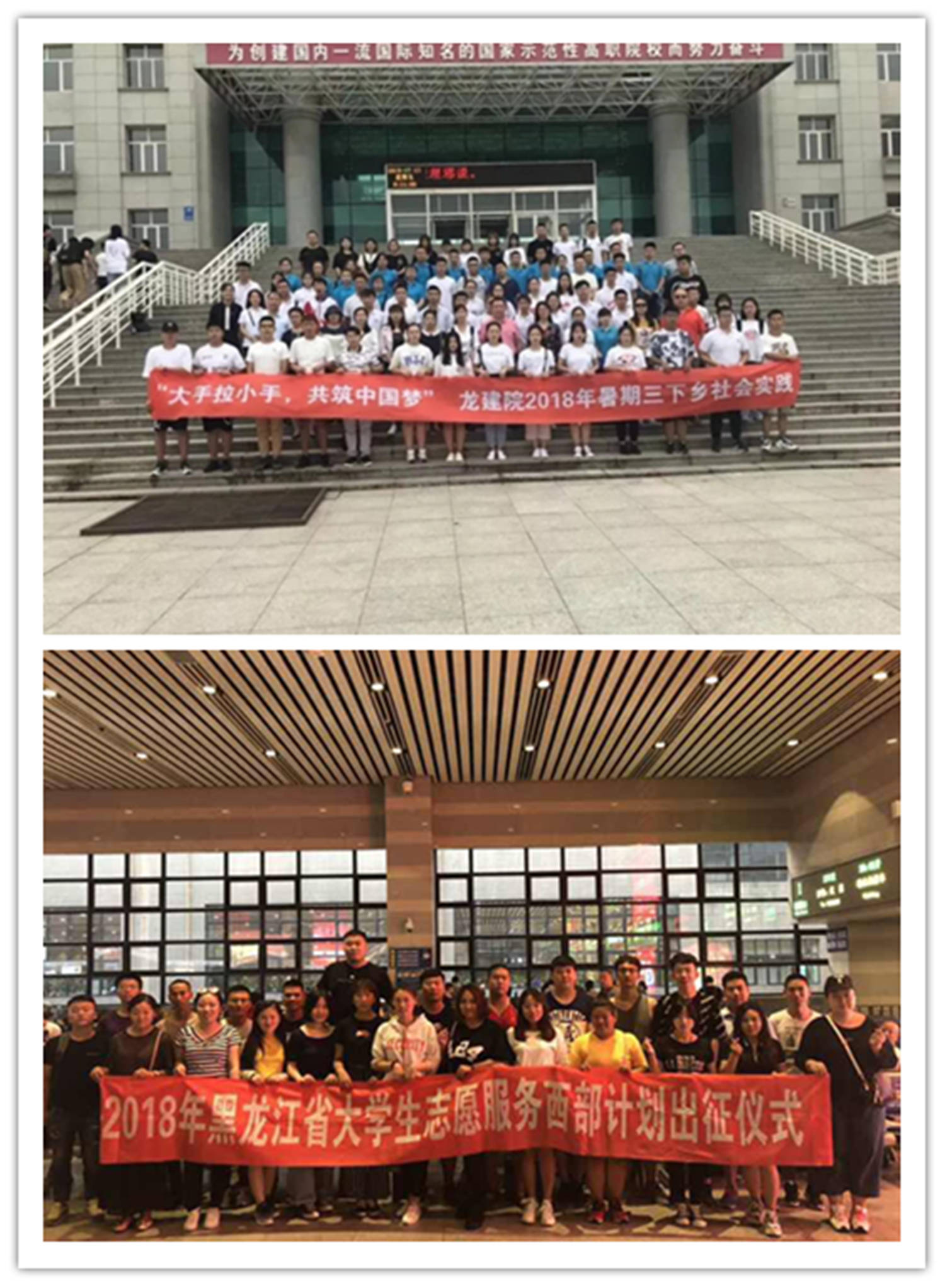“三下乡”主题活动、“西部计划”主题活动