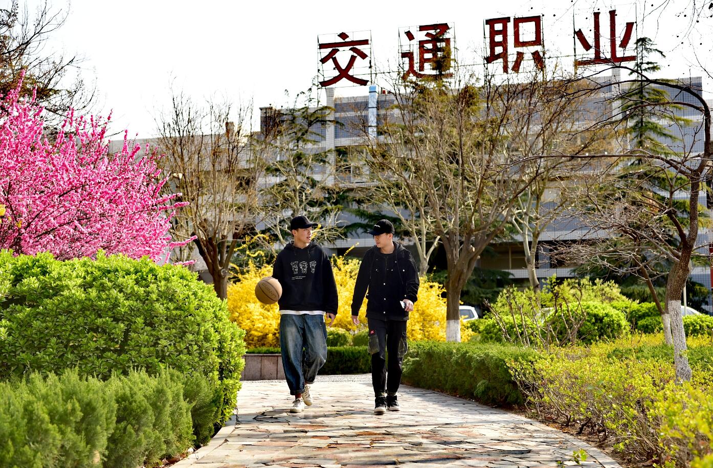 校园风光