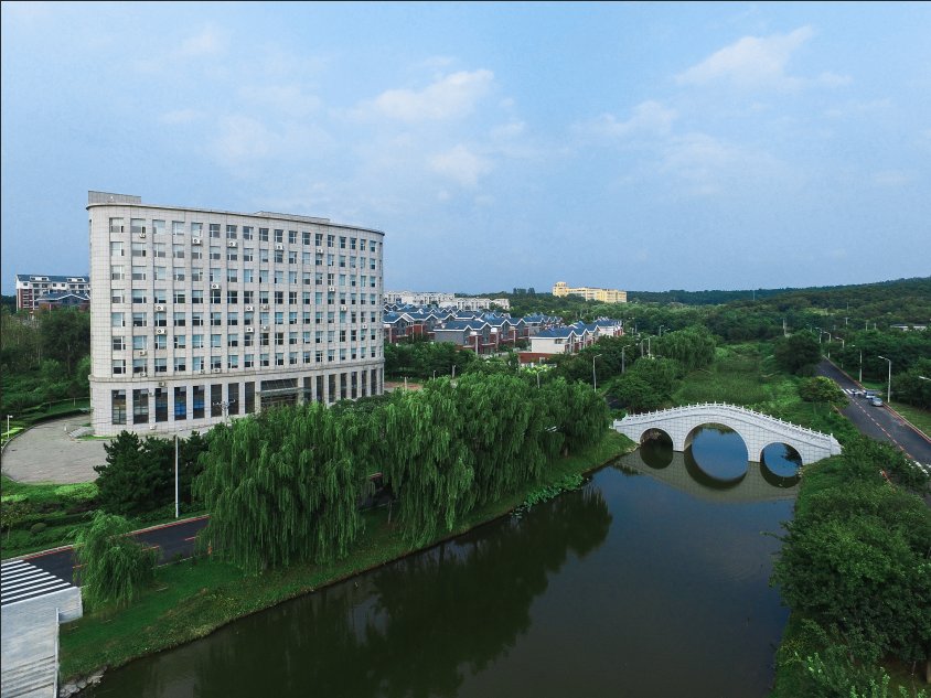 图片10