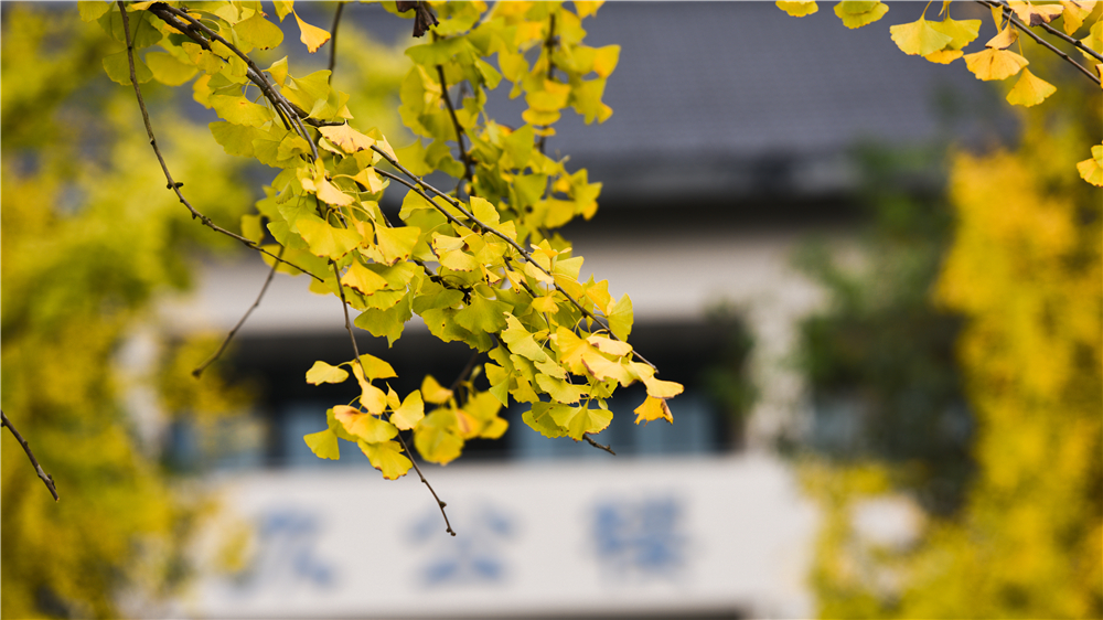 校园风光